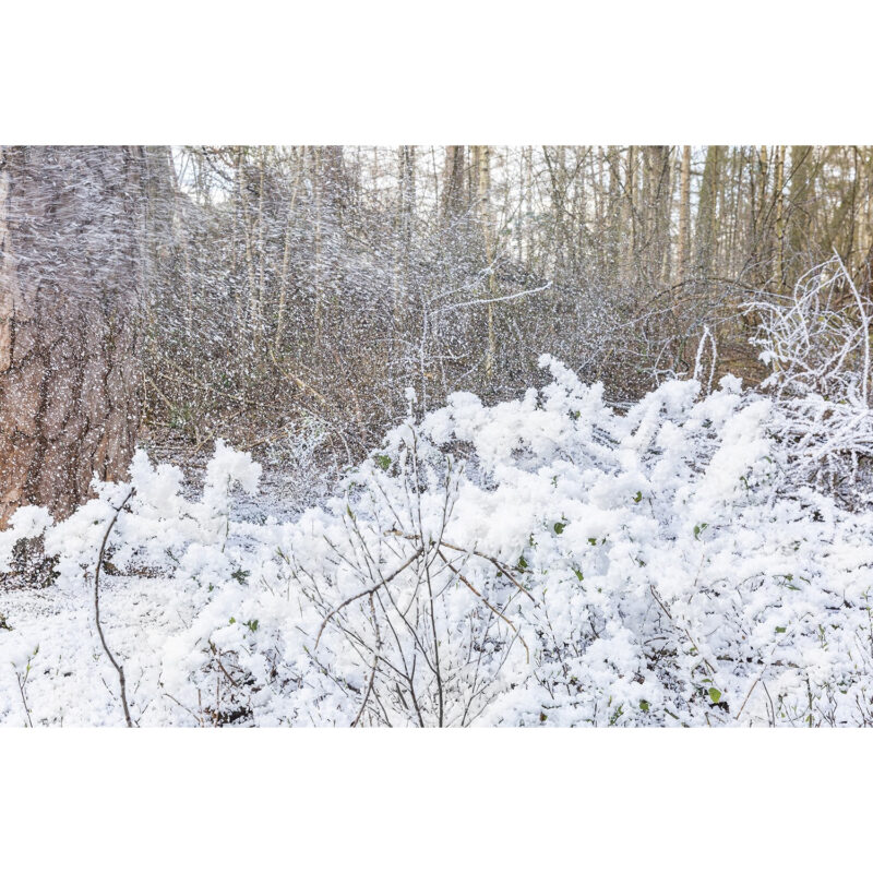 BeamZ SNOW5000 Professional Snow Machine