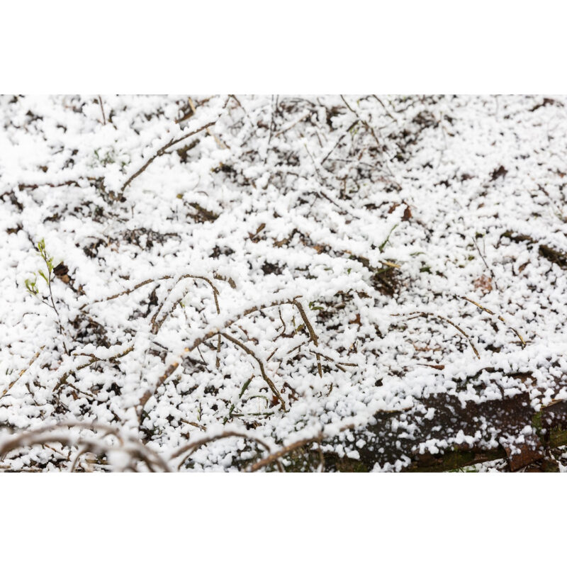 BeamZ SNOW5000 Professional Snow Machine